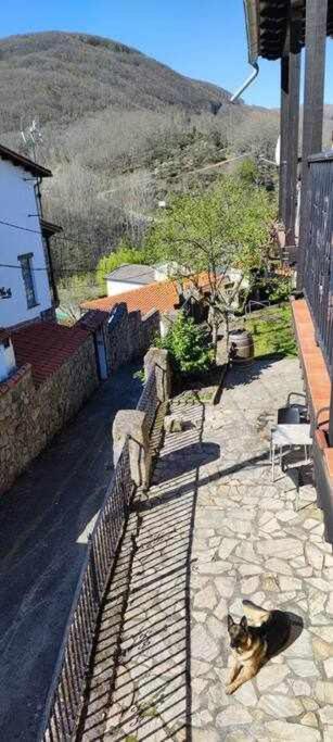 Hostal Montemayor Montemayor del Rio Экстерьер фото